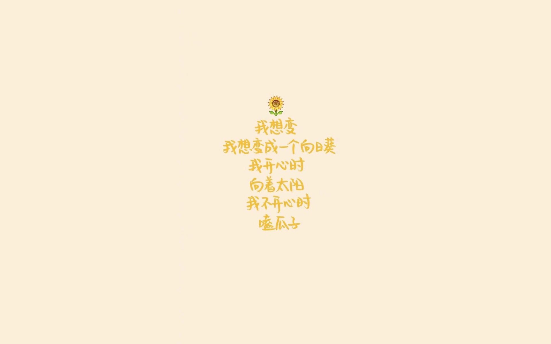冠军的秘密武器：车队最新研发设备全揭秘，中国冠军车队