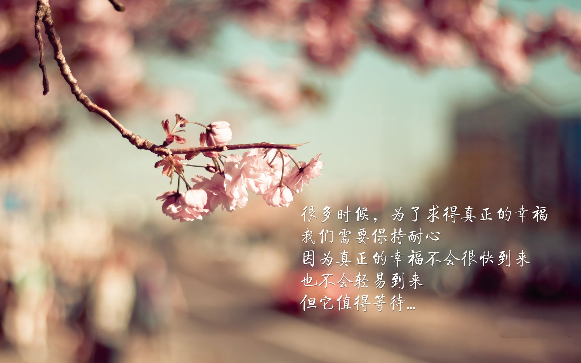 博卡青年冲击联赛冠军，博卡青年队主场在哪儿