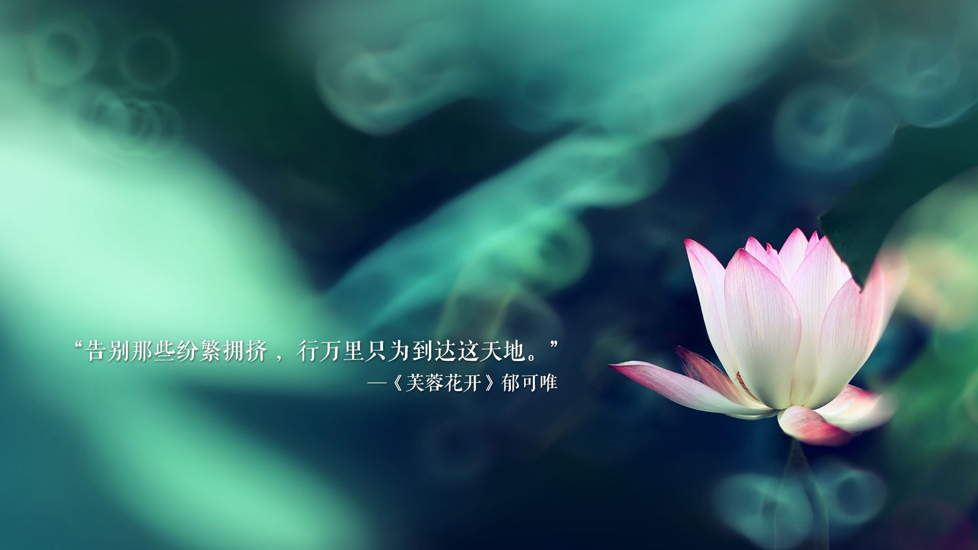 kaiyun体育综合-格兰瑟姆城轮换效果显著，地平线球场期待胜利，gmo格兰瑟姆