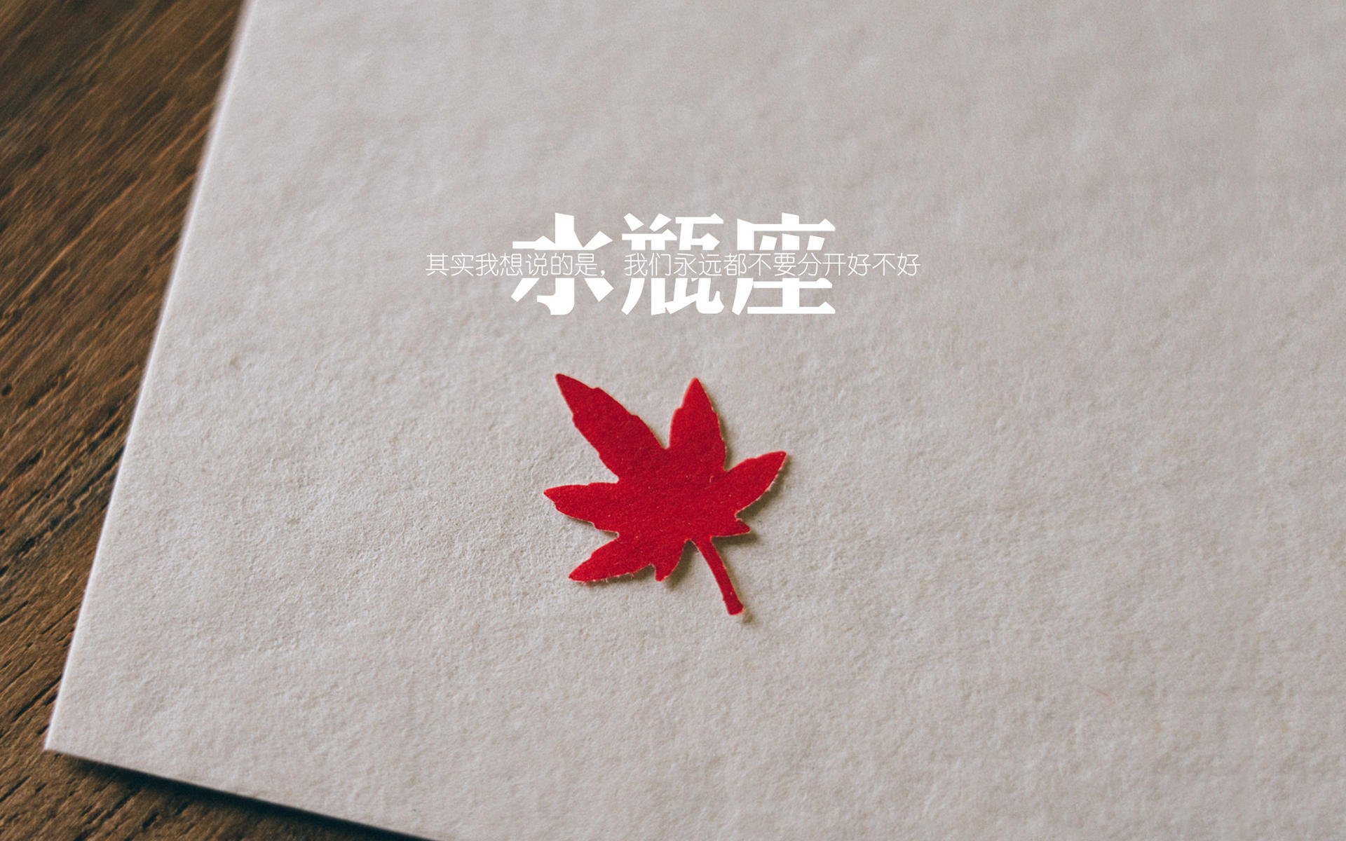开云·体育全站登录地址-阿贾克斯击败拜仁慕尼黑，晋级欧冠半决赛，欧冠半决赛阿贾克斯对热刺