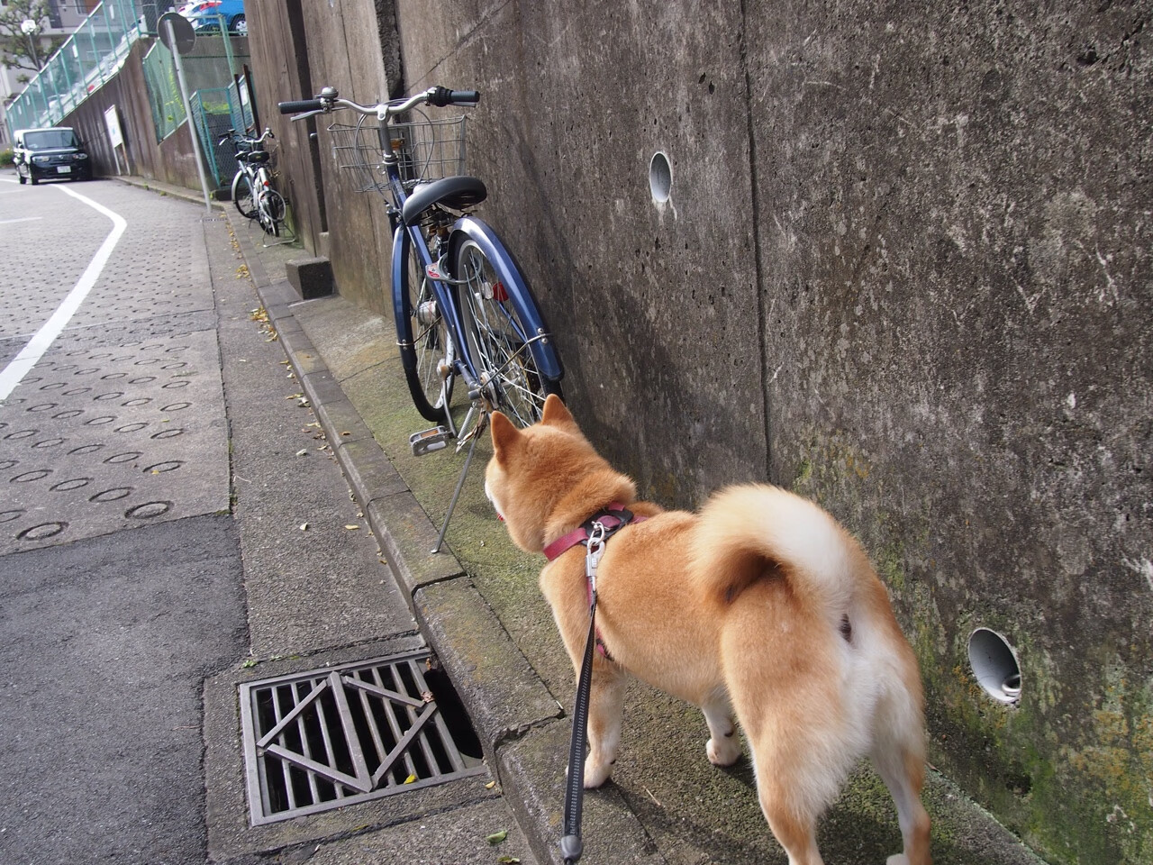 kaiyun登录入口-足球运动员参加公益跑活动，助力全民健身宣传，足球运动员宣传照