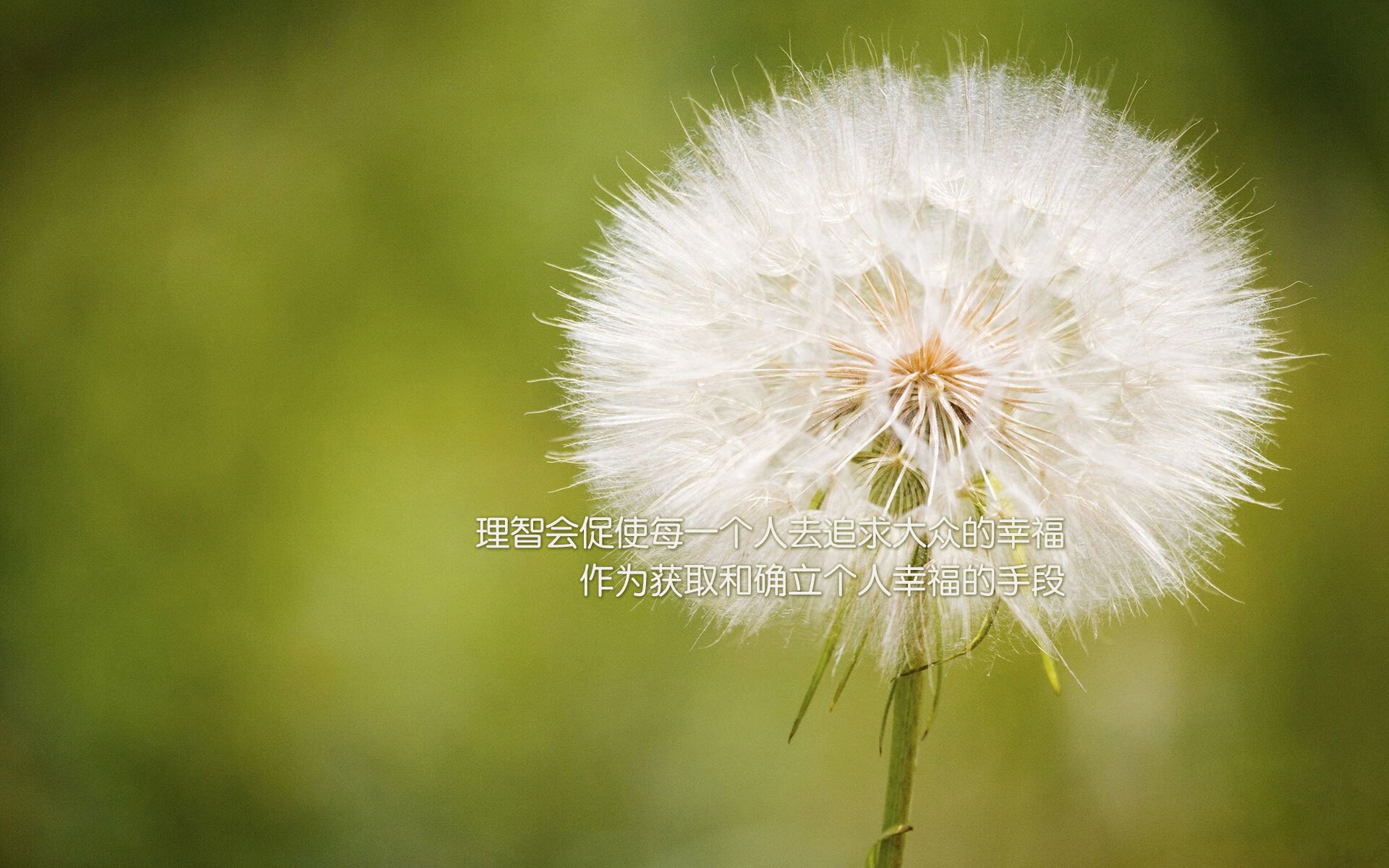 陈芋汐强势夺冠成为跳水新星，跳水冠军陈芋汐有多高