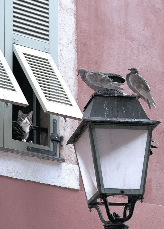 kaiyun网站-马尔尚决赛发挥稳定赢得喝彩，马尔斯大赛