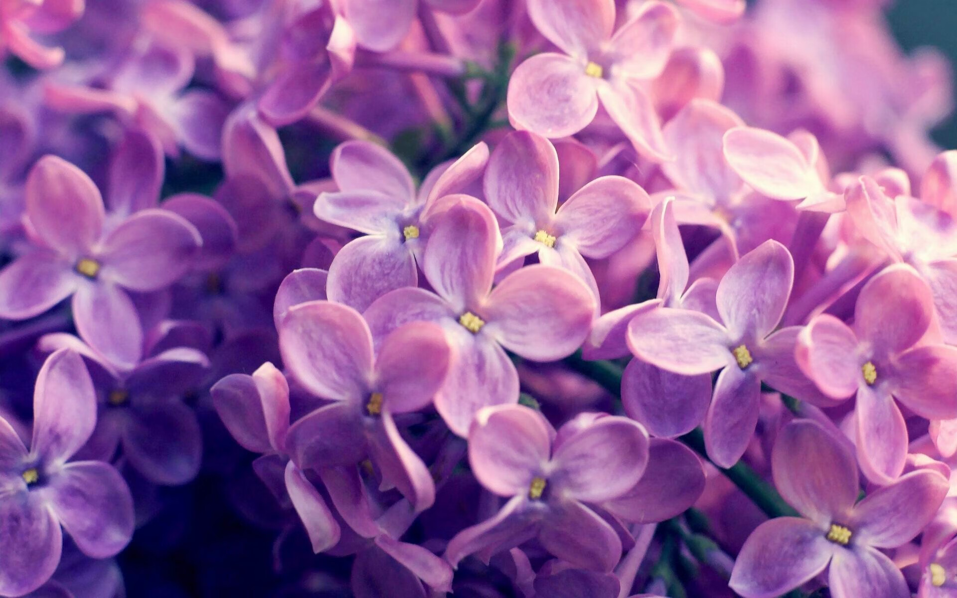 开云体育网页版入口-英超“不会说谎”的比赛：逆境中的传奇瞬间