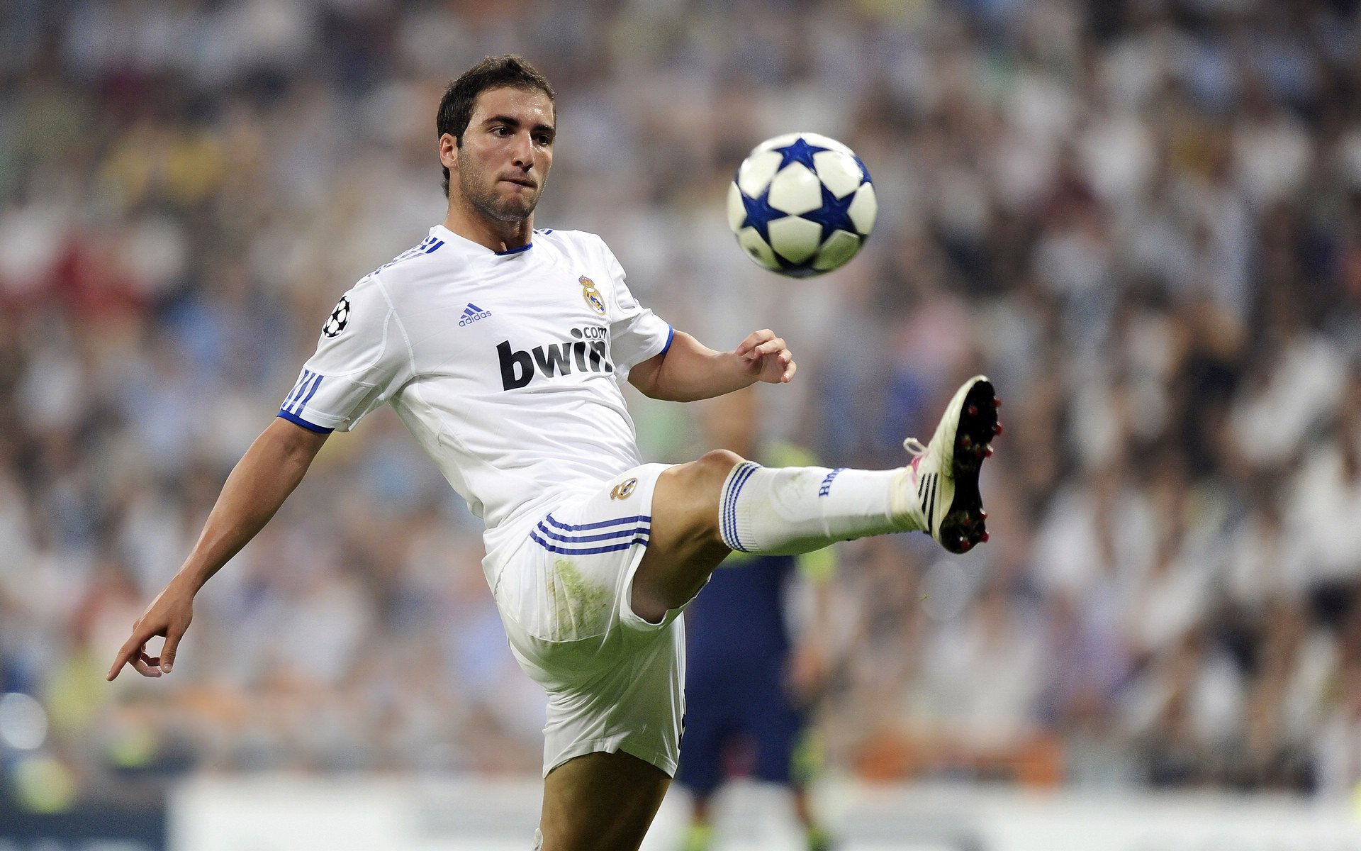 _新生代崛起，未来之星引领新潮流_，未来之星第四期